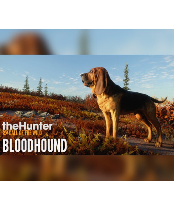 theHunter: Call of the Wild - Bloodhound DLC XBOX One / Xbox Series X|S Xbox One Key 